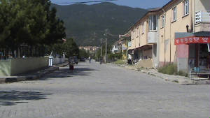 dsc00007.jpg